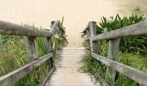 Pebbly Beach To Snake Bay Walking Track - Maitland Accommodation 0