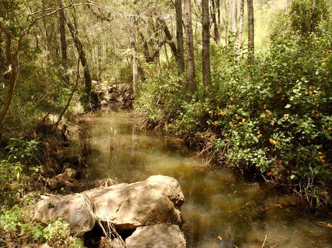 Sandy Creek Track - Maitland Accommodation 0