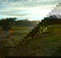 Scenic NSW Horse Riding Centre - Maitland Accommodation