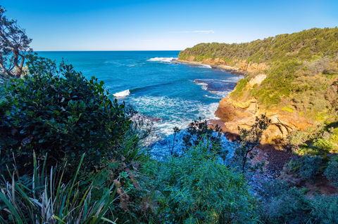 Shellgrit Beach (Red Head) - Maitland Accommodation 0