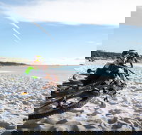 St Helens Mountain Bike Trails - Maitland Accommodation