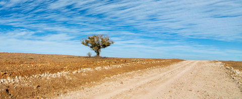 Sturts Steps Touring Route - Maitland Accommodation 0