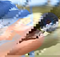 Sydney Olympic Park Archery Centre - Maitland Accommodation