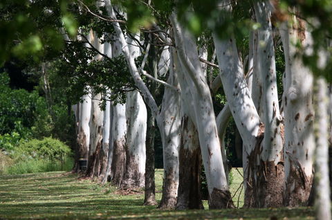 Teven Valley Golf Course - Maitland Accommodation 1