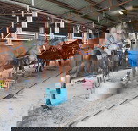 The Equine Club - Maitland Accommodation