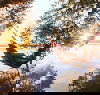 Tiona - Maitland Accommodation