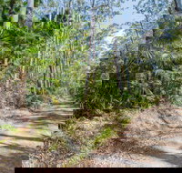 Tip to Tail Trail - Maitland Accommodation