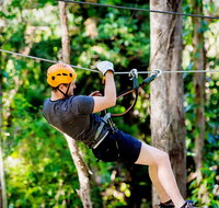 TreeTop Challenge Currumbin Wildlife Sanctuary - Maitland Accommodation