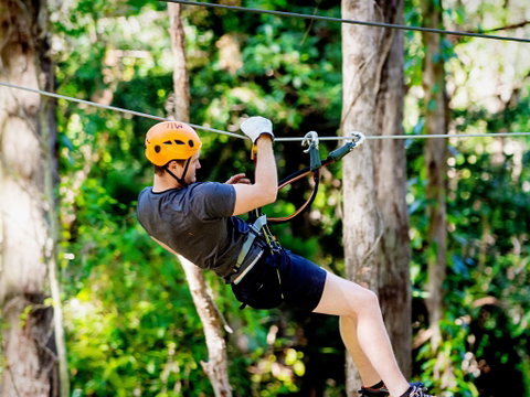 TreeTop Challenge Currumbin Wildlife Sanctuary - Maitland Accommodation 0