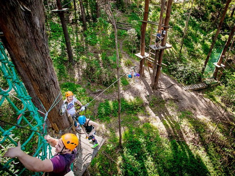 TreeTop Challenge Currumbin Wildlife Sanctuary - Maitland Accommodation 2