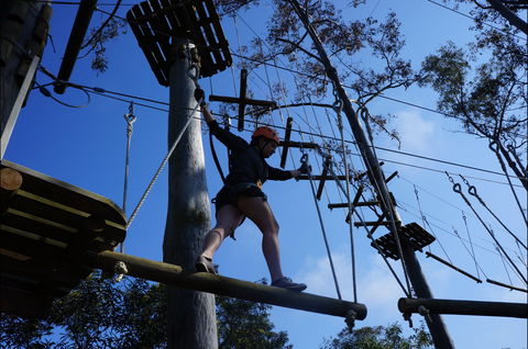 Trees Adventure Nowra Park - Maitland Accommodation 0