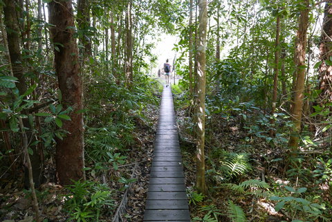 Walker Creek - Maitland Accommodation 0