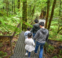 Yarra Ranges National Park - Maitland Accommodation
