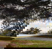 Yea Golf Club - Maitland Accommodation