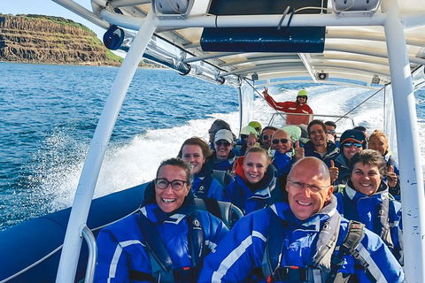 Premier Whale Watching Byron Bay - Maitland Accommodation 1