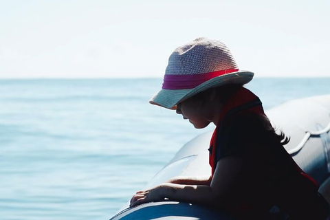 Premier Whale Watching Byron Bay - Maitland Accommodation 3