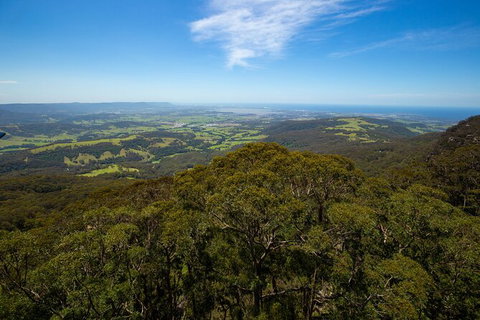 Illawarra Fly Treetop Adventures Treetop Walk Admission Ticket - Maitland Accommodation 6