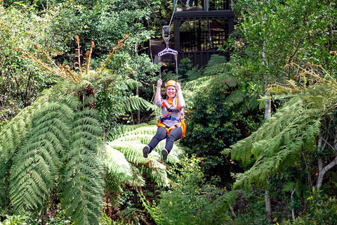 Illawarra Fly Treetop Adventures Treetop Walk Admission Ticket - Maitland Accommodation 2