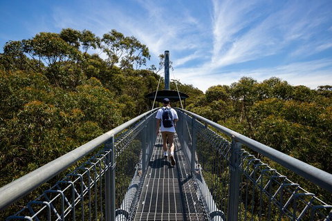 Illawarra Fly Treetop Adventures Treetop Walk Admission Ticket - Maitland Accommodation 0