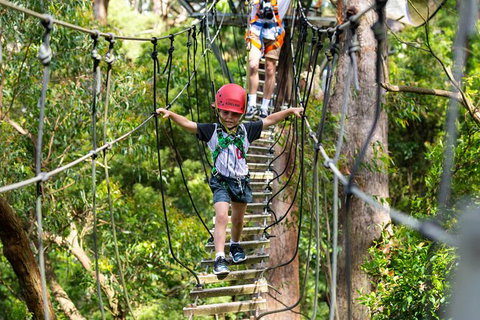 Illawarra Fly Treetop Adventures Treetop Walk Admission Ticket - Maitland Accommodation 3