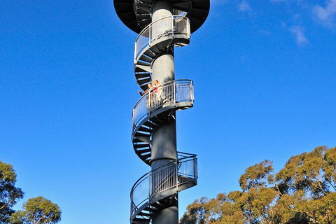 Illawarra Fly Treetop Adventures Treetop Walk Admission Ticket - Maitland Accommodation 5