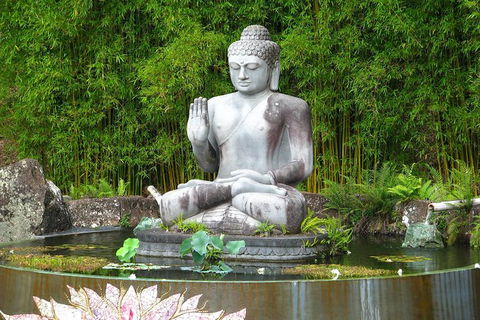 Crystal Castle Shuttle From Byron Bay (full Day) - Maitland Accommodation 0