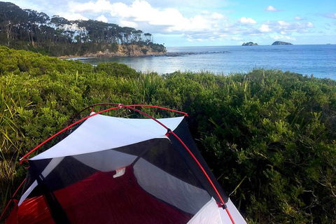 Batemans Bay Overnight Kayak Camping Tour - All Inclusive - Maitland Accommodation 0