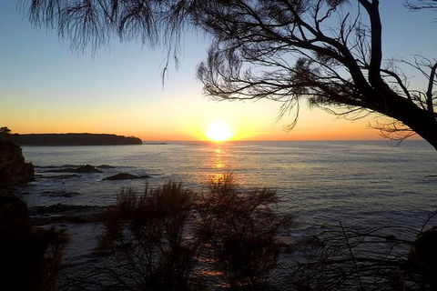 Batemans Bay Overnight Kayak Camping Tour - All Inclusive - Maitland Accommodation 1