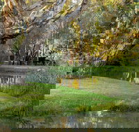 Gateway Island Parklands - Maitland Accommodation