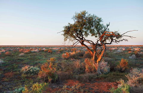 Merton Motor Trail - Maitland Accommodation 0