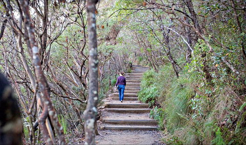 Princes Rock Walking Track - Maitland Accommodation 0