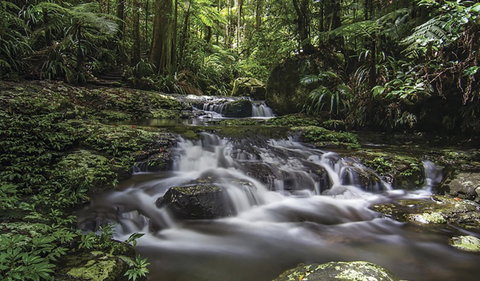 Protesters Falls Walking Track - Maitland Accommodation 0