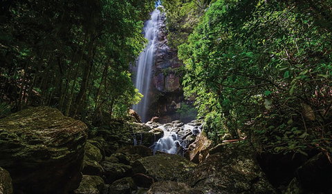 Protesters Falls Walking Track - Maitland Accommodation 1