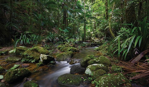Protesters Falls Walking Track - Maitland Accommodation 2