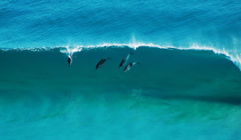 Sand Patch - Maitland Accommodation 1