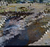 Wangaraleednie Monument  Ruins - Maitland Accommodation