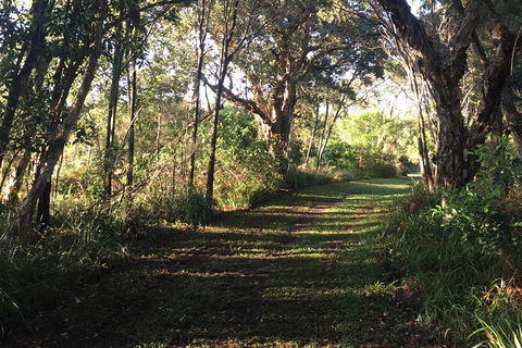 Coffs Harbour To Sawtell Bike Ride - Maitland Accommodation 7