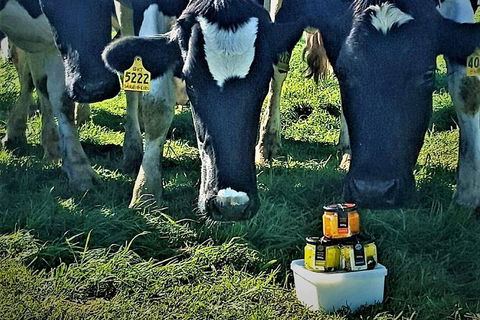 Artisan Cheese Tastings And Sales - Maitland Accommodation 11