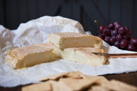Artisan Cheese Tastings And Sales - Maitland Accommodation 8