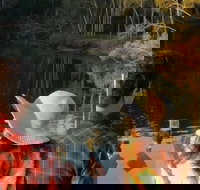 Sunset Eco Rainforest River Cruise - Maitland Accommodation