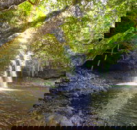 Half-Day Best Of Byron Sightseeing Tour - Maitland Accommodation