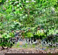 Guided E Bike Tour - Hells Hole Pools  Rainforest - Maitland Accommodation