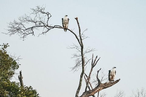 Sunset River Cruise Near Byron Bay - Maitland Accommodation 5