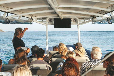 Sunset River Cruise Near Byron Bay - Maitland Accommodation 29