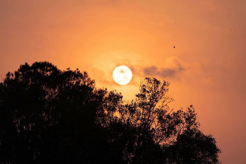 Sunset River Cruise Near Byron Bay - Maitland Accommodation 14