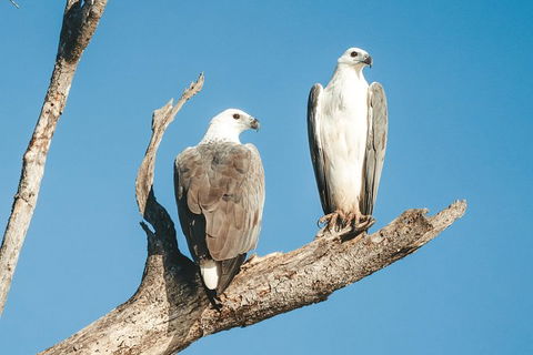 Sunset River Cruise Near Byron Bay - Maitland Accommodation 19