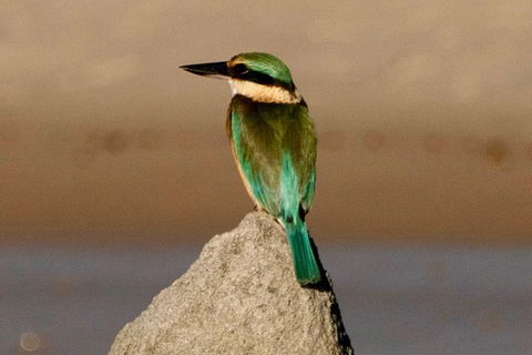 Sunset River Cruise Near Byron Bay - Maitland Accommodation 17