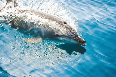 Sunset River Cruise Near Byron Bay - Maitland Accommodation 1