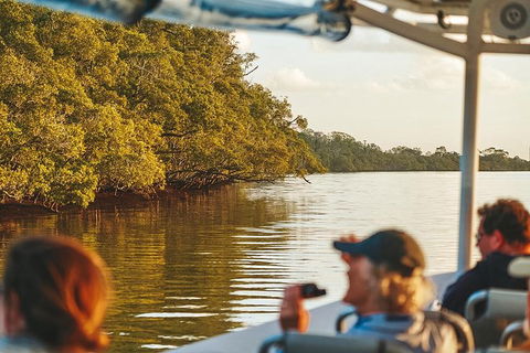 Sunset River Cruise Near Byron Bay - Maitland Accommodation 26