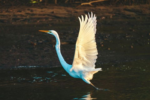 Sunset River Cruise Near Byron Bay - Maitland Accommodation 34